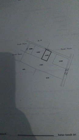 dijual-tanah-sambiroto-kapas-bojonegoro-big-2