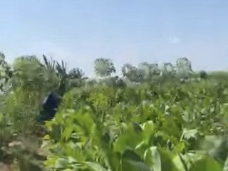 Dijual Tanah Subur Persawahan di Sukosewu