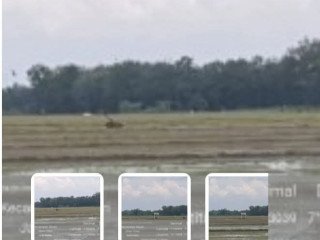 OBRAL TANAH MURAH ASET LELANG BANK BRI