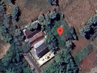 JUAL CEPAT TANAH MURAH TEGALBANG PALANG TUBAN