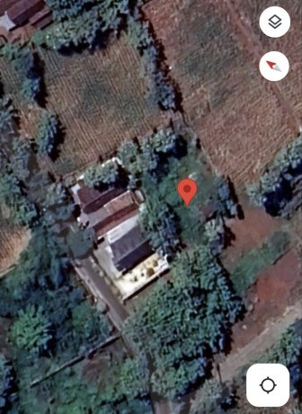 jual-cepat-tanah-murah-tegalbang-palang-tuban-big-0