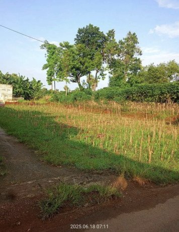 dijual-cepat-tanah-strategis-penambang-semanding-tuban-big-0