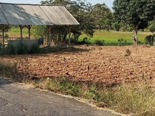 DIJUAL TANAH LOKASI STRATEGIS BANCAR TUBAN