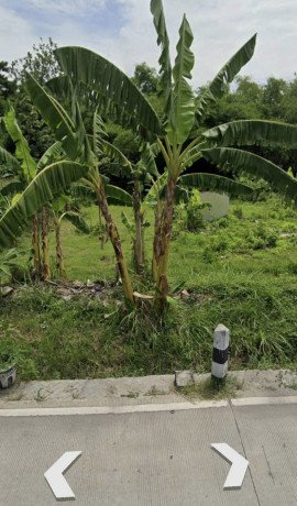 dijual-tanah-strategis-ngraho-bojonegoro-big-0