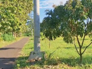 Dijual Tanah Investasi Strategis Tobo, Merakurak, Tuban