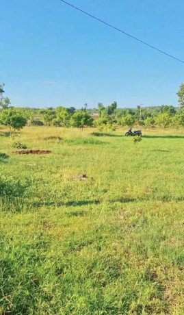 dijual-tanah-investasi-strategis-tobo-merakurak-tuban-big-2