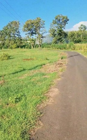 dijual-tanah-investasi-strategis-tobo-merakurak-tuban-big-1