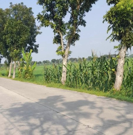 dijual-sawah-subur-di-sokowati-big-0