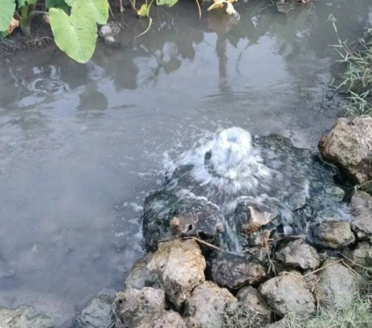 dijual-sawah-produktif-siap-tanam-merakurak-tuban-big-2