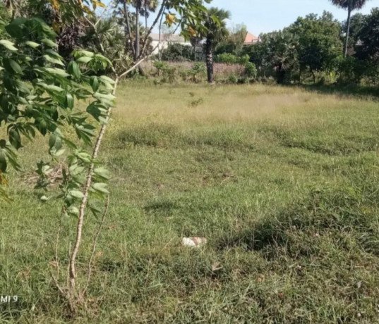 dijual-tanah-siap-usaha-lokasi-strategis-prungahan-kulon-tuban-big-1