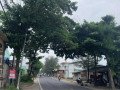 disewakan-tanah-lokasi-strategis-depan-jalan-raya-daendles-small-0