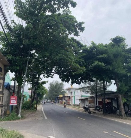 disewakan-tanah-lokasi-strategis-depan-jalan-raya-daendles-big-0