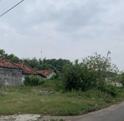 disewakan-tanah-lokasi-strategis-depan-jalan-raya-daendles-big-1