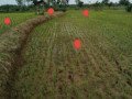dijual-sawah-produktif-lokasi-strategis-plumpang-tuban-small-0