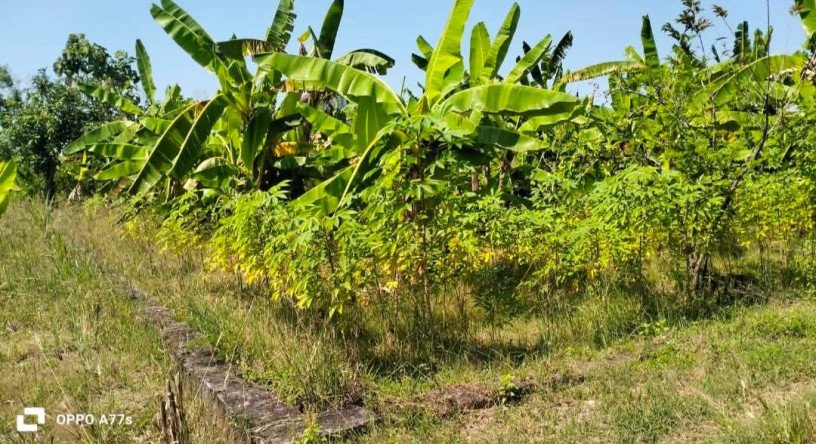 dijual-tanah-siap-bangun-selatan-kec-palang-big-0