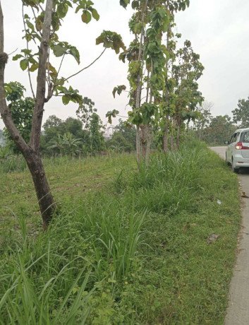 dijual-tanah-luas-siap-usaha-kerek-tuban-big-0