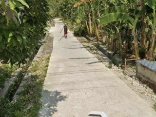 DIJUAL CEPAT TANPA PERANTARA WIDANG TUBAN