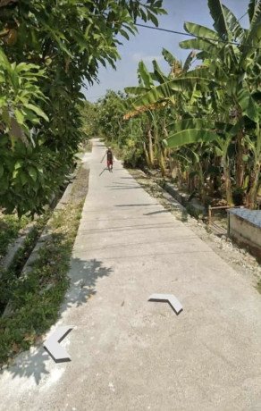 dijual-cepat-tanpa-perantara-widang-tuban-big-0