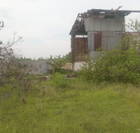 tanah-pinggir-jalan-provinsi-bojonegoro-big-3