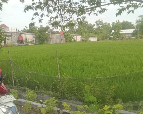 tanah-pinggir-jalan-provinsi-bojonegoro-big-1