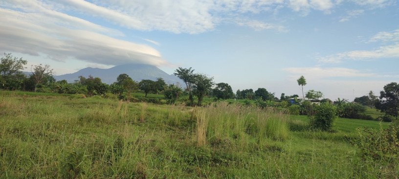 dijual-dikerjasamakan-tanah-strategis-di-pandaan-pasuruan-big-0