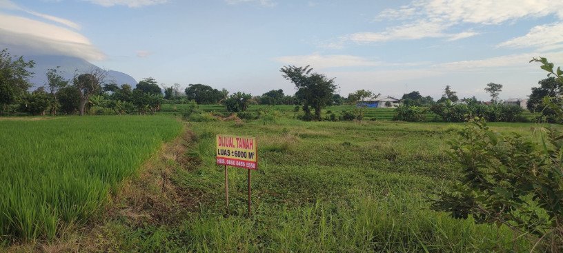 dijual-dikerjasamakan-tanah-strategis-di-pandaan-pasuruan-big-1