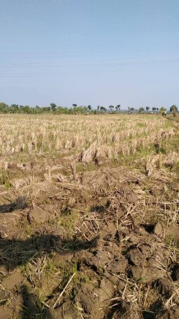 dijual-tanah-luas-2400-m2-bogorejo-merakurak-tuban-big-1