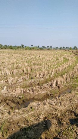 dijual-tanah-luas-2400-m2-bogorejo-merakurak-tuban-big-0