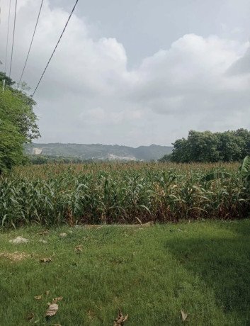 dijual-tanah-pekarangan-strategis-di-rengel-tuban-big-0