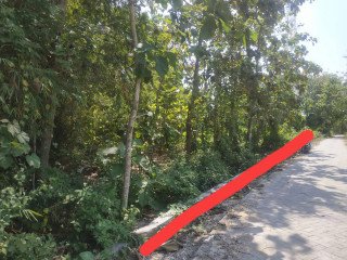 DIJUAL TANAH PEKARANGAN SIAP MANFAAT FULL POHON JATI