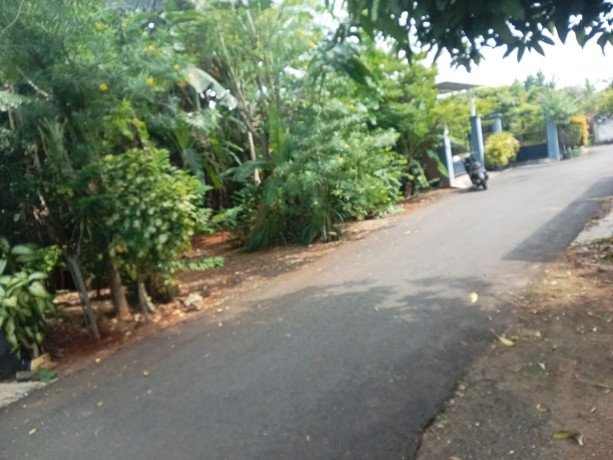 jual-tanah-strategis-di-tuban-kota-big-1