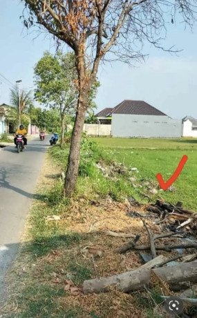 dijual-tanah-strategis-perbon-tuban-big-0