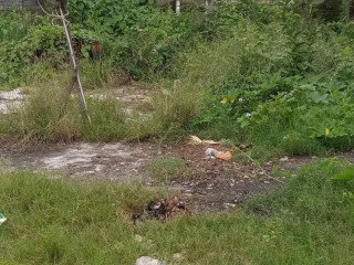 DIJUAL TANAH SIAP BANGUN LOKASI STRATEGIS DEKAT INDOMARET SOKO