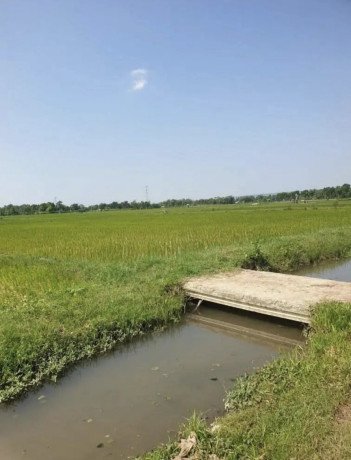 dijual-sawah-produktif-di-merakurak-tuban-big-2