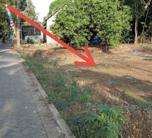 dijual-murah-tanah-strategis-semanding-tuban-big-1