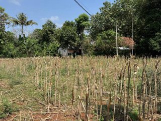 Dijual Lahan Strategis Siap Kelola Tegalbang, Tuban
