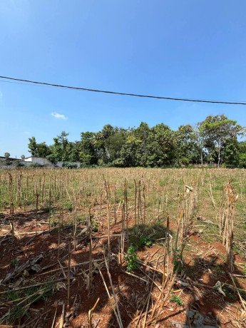 dijual-lahan-strategis-siap-kelola-tegalbang-tuban-big-2