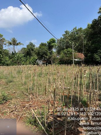dijual-lahan-strategis-siap-kelola-tegalbang-tuban-big-0