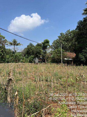 dijual-lahan-strategis-siap-kelola-tegalbang-tuban-big-1