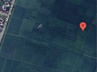 Dijual Cepat! Sawah Pribadi Area Bojonegoro Kota