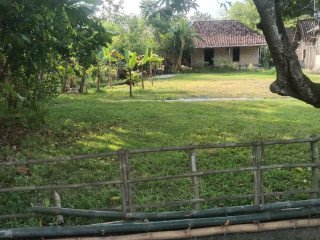 Dijual Tanah Pekarangan Strategis Desa Sokowati, Kapas