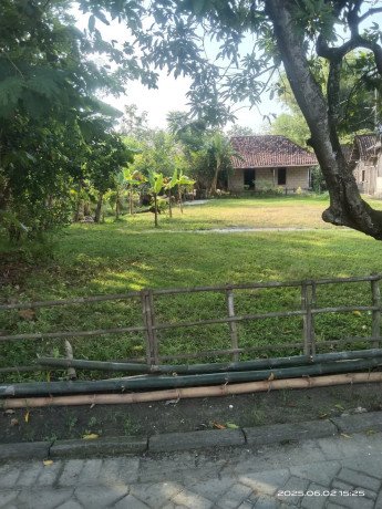 dijual-tanah-pekarangan-strategis-desa-sokowati-kapas-big-0