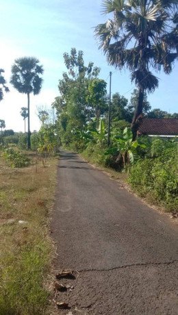 tanah-strategis-semanding-tuban-big-0