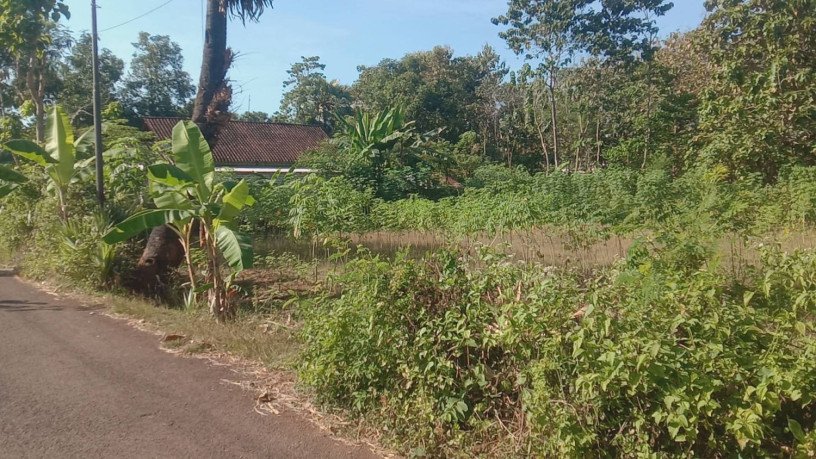 tanah-strategis-semanding-tuban-big-1