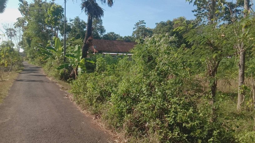 tanah-strategis-semanding-tuban-big-2