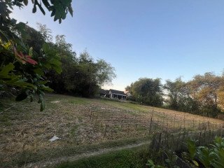 DIJUAL TANAH LUAS TURUN HARGA DI BOJONEGORO