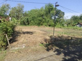 DIJUAL TANAH STRATEGIS DI PADANG MENTOYO KAPAS BOJONEGORO