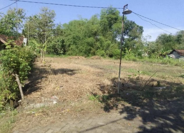 dijual-tanah-strategis-di-padang-mentoyo-kapas-bojonegoro-big-0