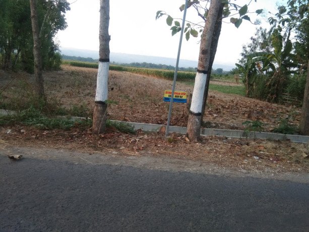 dijual-sawah-shm-lokasi-strategis-pinggir-jalan-big-0