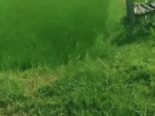 DIJUAL SAWAH SIAP TANAM JENU, TUBAN